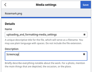 Uploading and formatting-media settings.png